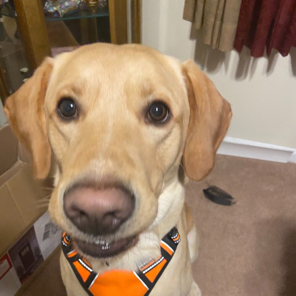 Meet your Posher, Renata